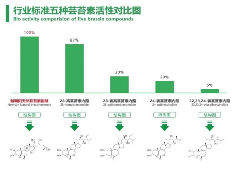 小麦拌种选龙8-long8天然芸苔素，让小麦高产赢在起跑线上！（小麦在什么时候用芸苔素效果最佳）